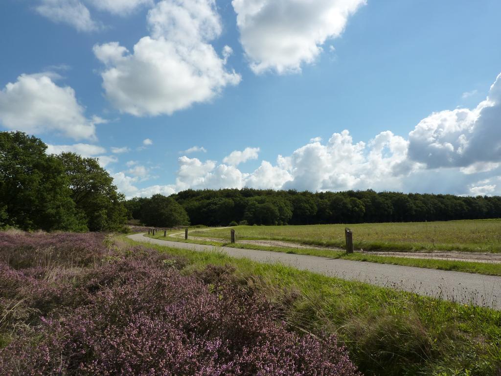 Wapen Van Exloo Ruang foto